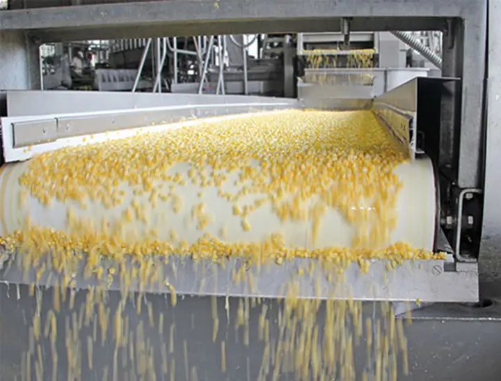 X-Tray is best in the food industry X-Tray is best in the food industry